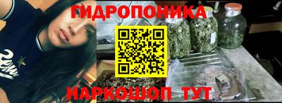 тгк Канаш