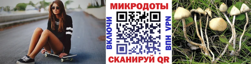 Псилоцибиновые грибы Psilocybine cubensis  Партизанск 