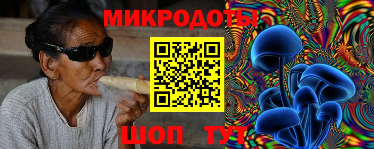 Галлюциногенные грибы Psilocybe Партизанск